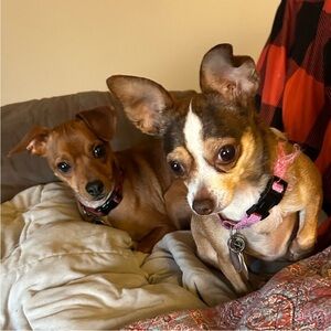 Meet your Posher, Suzanne